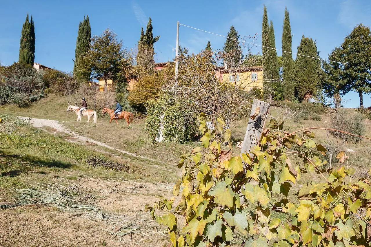 Podere Dell'Anselmo Montespertoli 0*,