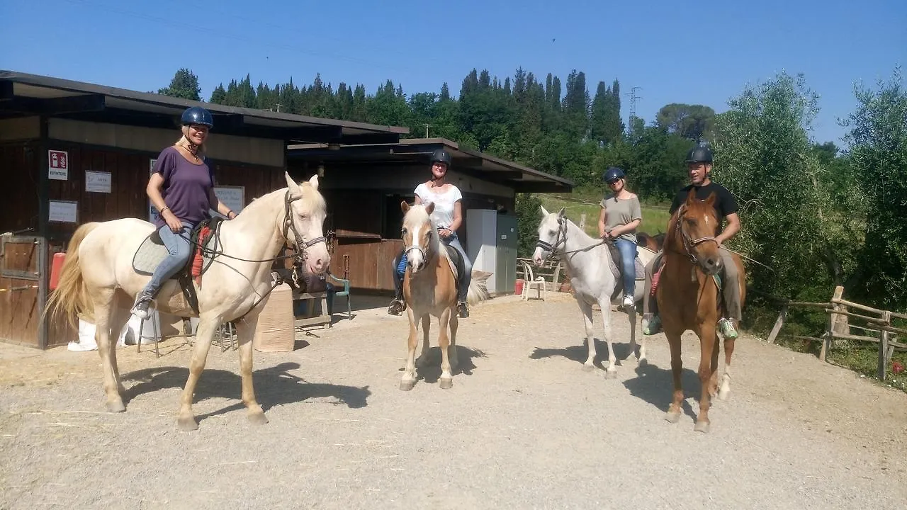 Podere Dell'Anselmo Montespertoli Farm stay